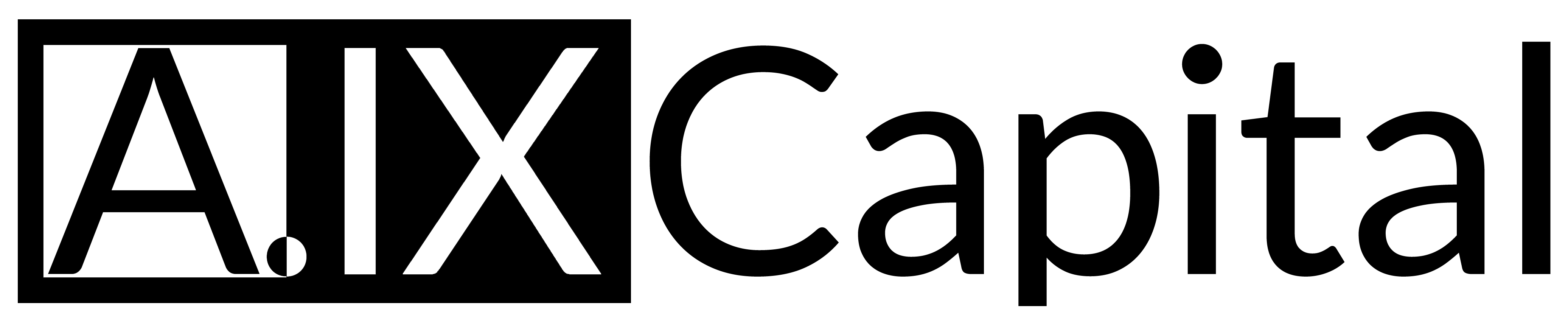 A.IX Capital